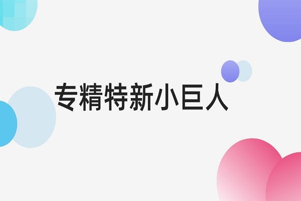 專精特新小巨人認(rèn)定標(biāo)準(zhǔn)是什么，專精特新小巨人申報(bào)條件