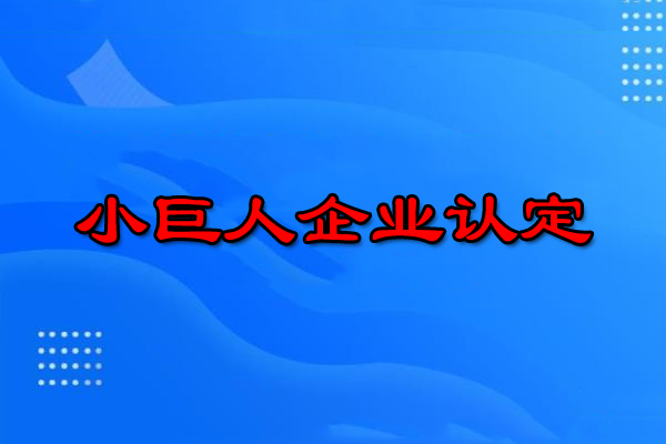 廣州小巨人企業(yè)申請(qǐng)條件（廣州小巨人企業(yè)怎么申報(bào)）
