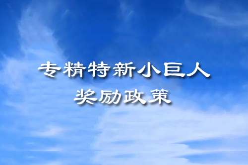專精特新小巨人獎(jiǎng)勵(lì)政策（廣東省、廣州市、黃埔區(qū)、開(kāi)發(fā)區(qū)）