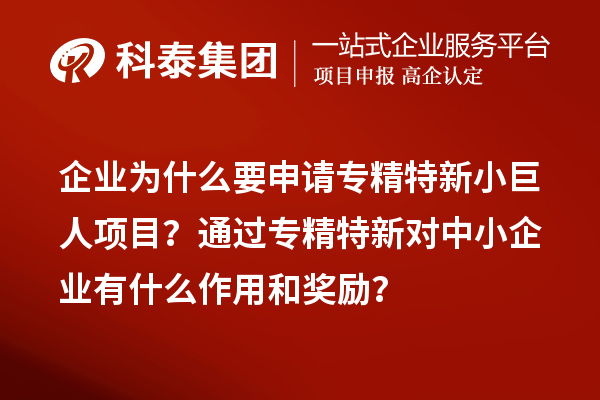 企業(yè)為什么要申請(qǐng)專精特新小巨人項(xiàng)目？通過專精特新對(duì)中小企業(yè)有什么作用和獎(jiǎng)勵(lì)？