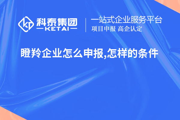 瞪羚企業(yè)怎么申報(bào),怎樣的條件