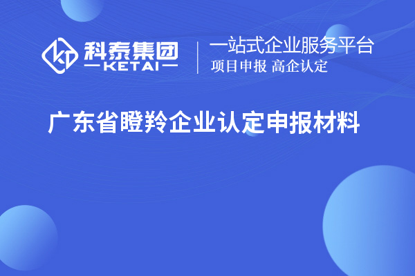 廣東省<a href=http://www.qiyeqqexmail.cn/fuwu/dengling.html target=_blank class=infotextkey>瞪羚企業(yè)認(rèn)定</a>申報材料