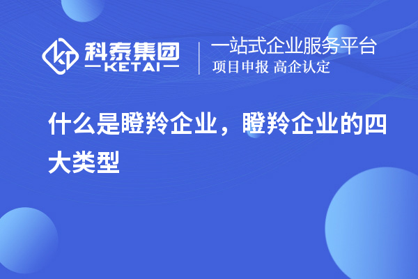 什么是瞪羚企業(yè)，瞪羚企業(yè)的四大類型