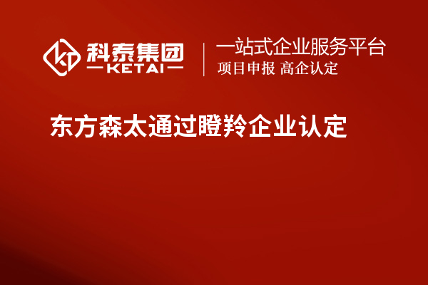 東方森太通過<a href=http://www.qiyeqqexmail.cn/fuwu/dengling.html target=_blank class=infotextkey>瞪羚企業(yè)認(rèn)定</a>