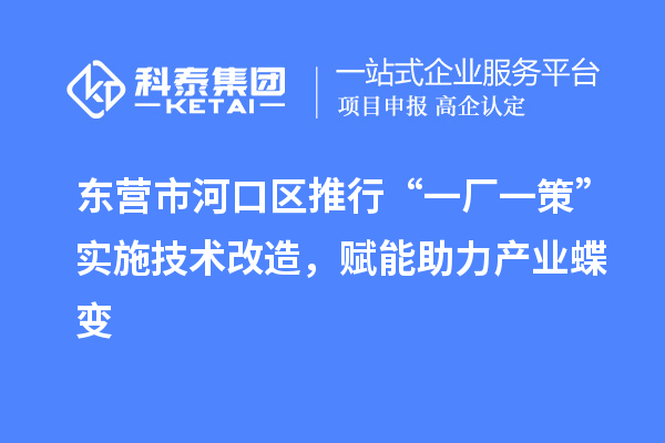 東營市河口區(qū)推行“一廠一策”實施技術(shù)改造，賦能助力產(chǎn)業(yè)蝶變