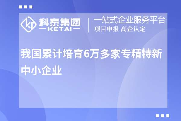 我國(guó)累計(jì)培育6萬(wàn)多家專精特新中小企業(yè)