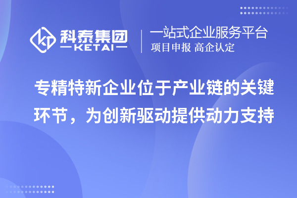 專精特新企業(yè)位于產(chǎn)業(yè)鏈的關(guān)鍵環(huán)節(jié)，為創(chuàng)新驅(qū)動(dòng)提供動(dòng)力支持