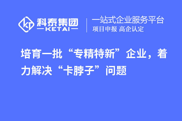 培育一批“專精特新”企業(yè)，著力解決“卡脖子”問題