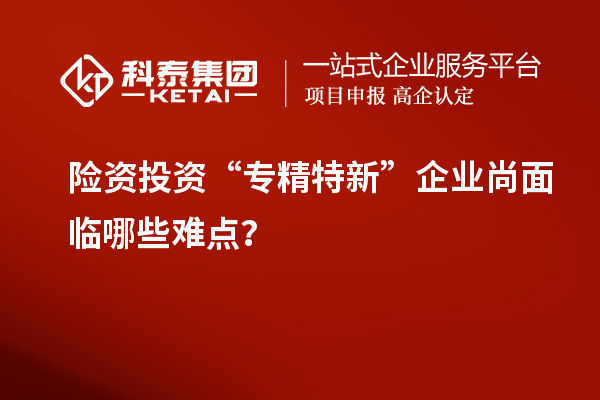 險(xiǎn)資投資“專精特新”企業(yè)尚面臨哪些難點(diǎn)？