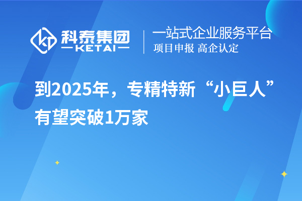 到2025年，專精特新“小巨人”有望突破1萬(wàn)家
