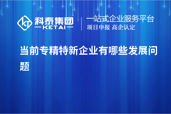 當前專精特新企業(yè)有哪些發(fā)展問題