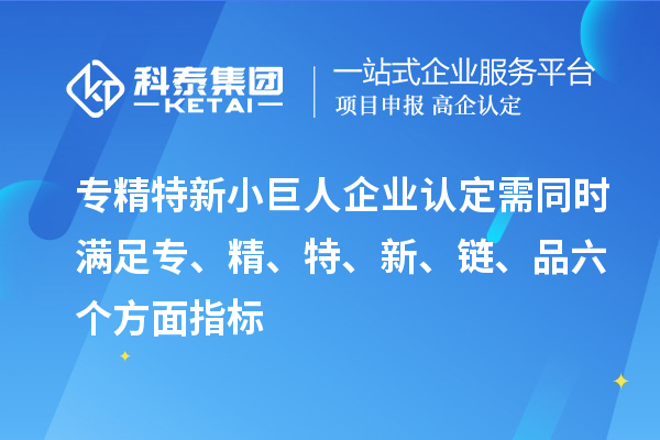 專精特新小巨人企業(yè)認定需同時滿足專、精、特、 新、鏈、品六個方面指標