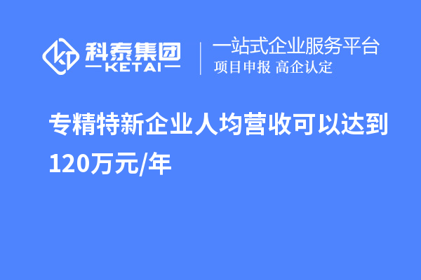 專精特新企業(yè)人均營(yíng)收可以達(dá)到 120萬(wàn)元/年