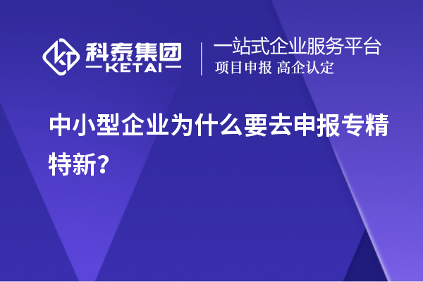 中小型企業(yè)為什么要去申報(bào)專精特新？