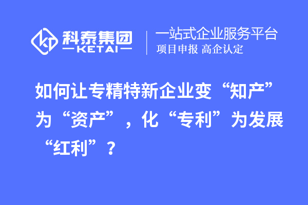 如何讓專精特新企業(yè)變“知產(chǎn)”為“資產(chǎn)”，化“專利”為發(fā)展“紅利”？