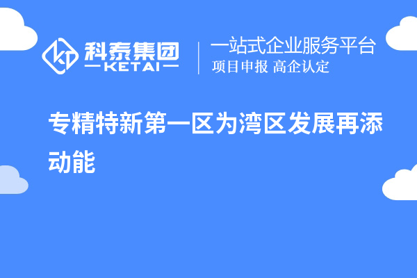 專精特新第一區(qū)為灣區(qū)發(fā)展再添動(dòng)能