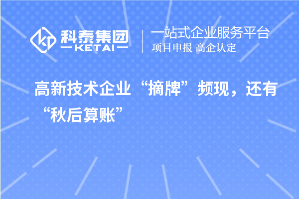 高新技術(shù)企業(yè)“摘牌”頻現(xiàn)，還有“秋后算賬”