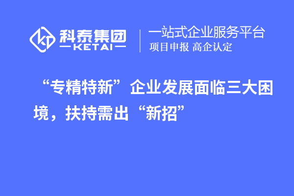 “專精特新”企業(yè)發(fā)展面臨三大困境，扶持需出“新招”