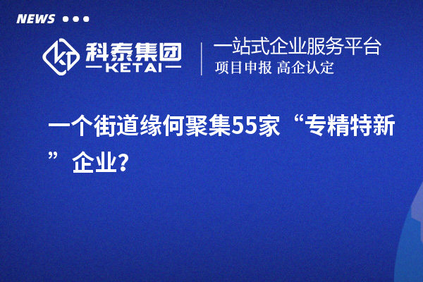 一個街道緣何聚集55家“專精特新”企業(yè)？