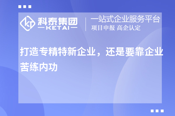 打造專精特新企業(yè)，還是要靠企業(yè)苦練內功