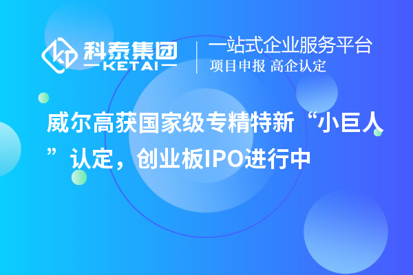威爾高獲國家級專精特新“小巨人”認(rèn)定，創(chuàng)業(yè)板IPO進(jìn)行中