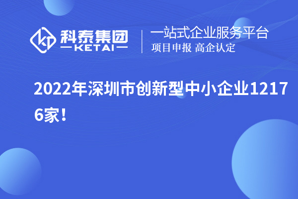 2022年深圳市創(chuàng)新型中小企業(yè)12176家！