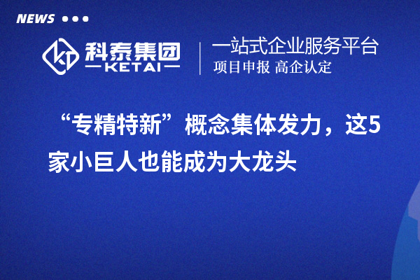 “專精特新”概念集體發(fā)力，這5家小巨人也能成為大龍頭
