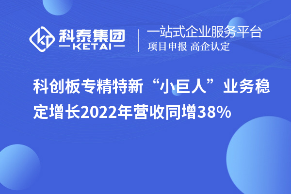 科創(chuàng)板專精特新“小巨人”業(yè)務穩(wěn)定增長 2022年營收同增38%