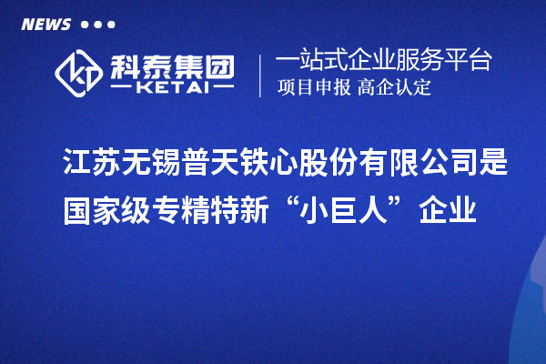 江蘇無錫普天鐵心股份有限公司是國家級專精特新“小巨人”企業(yè)