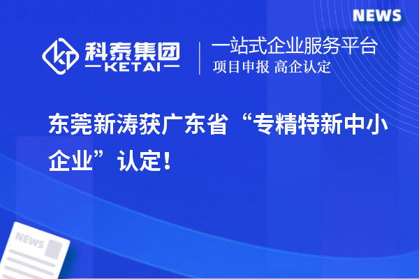 東莞新濤獲廣東省“專精特新中小企業(yè)”認定！