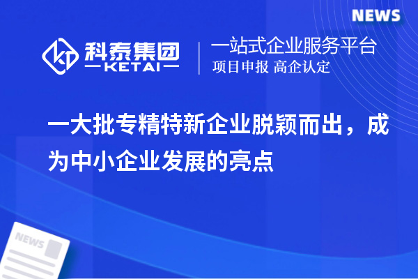 一大批專精特新企業(yè)脫穎而出，成為中小企業(yè)發(fā)展的亮點(diǎn)