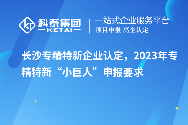 長(zhǎng)沙專精特新企業(yè)認(rèn)定，2023年專精特新“小巨人”申報(bào)要求