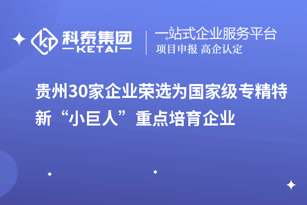 貴州30家企業(yè)榮選為國(guó)家級(jí)專精特新“小巨人”重點(diǎn)培育企業(yè)