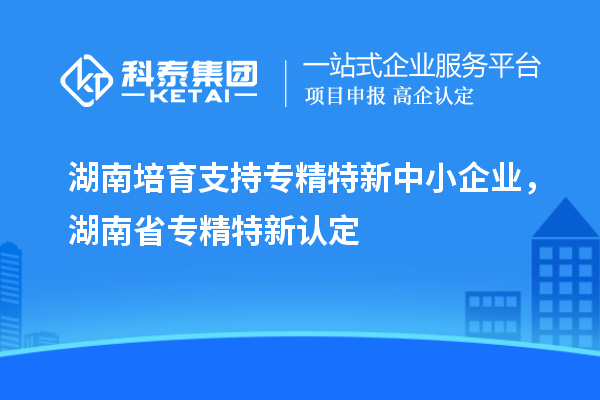 湖南培育支持專精特新中小企業(yè)，湖南省專精特新認定
