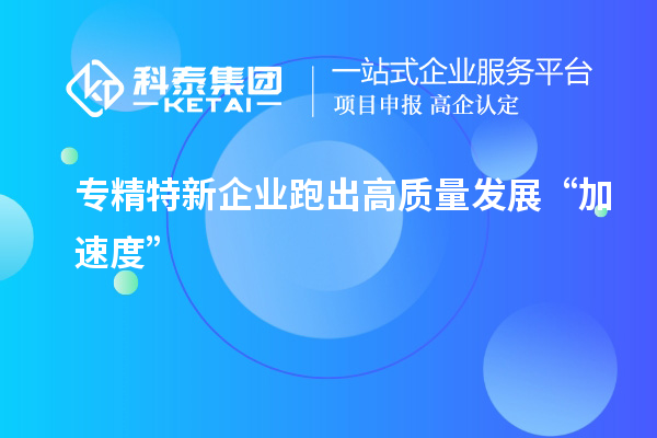專(zhuān)精特新企業(yè)跑出高質(zhì)量發(fā)展“加速度”