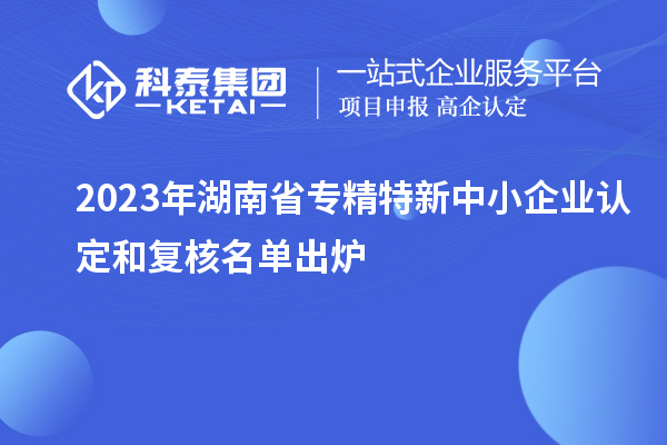 2023年湖南省專(zhuān)精特新中小企業(yè)認(rèn)定和復(fù)核名單出爐