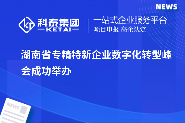 湖南省專精特新企業(yè)數(shù)字化轉(zhuǎn)型峰會成功舉辦