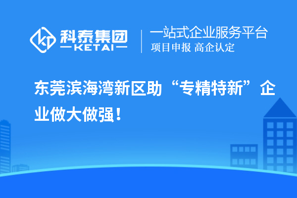 東莞濱海灣新區(qū)助“專精特新”企業(yè)做大做強！