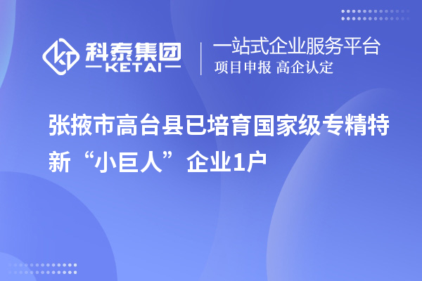 張掖市高臺(tái)縣已培育國(guó)家級(jí)專精特新“小巨人”企業(yè)1戶