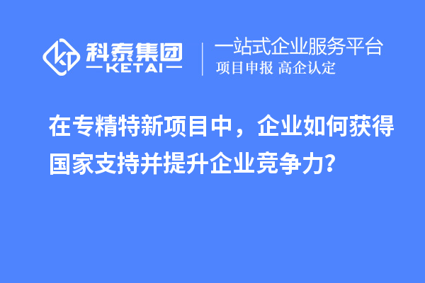 在專精特新項(xiàng)目中，企業(yè)如何獲得國家支持并提升企業(yè)競爭力？