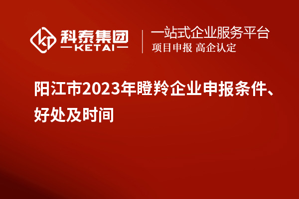 陽江市2023年瞪羚企業(yè)申報條件、好處及時間