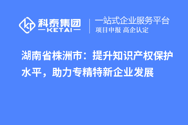 湖南省株洲市：提升知識產(chǎn)權(quán)保護(hù)水平，助力專精特新企業(yè)發(fā)展