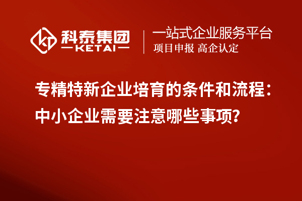 專精特新企業(yè)培育的條件和流程：中小企業(yè)需要注意哪些事項(xiàng)？