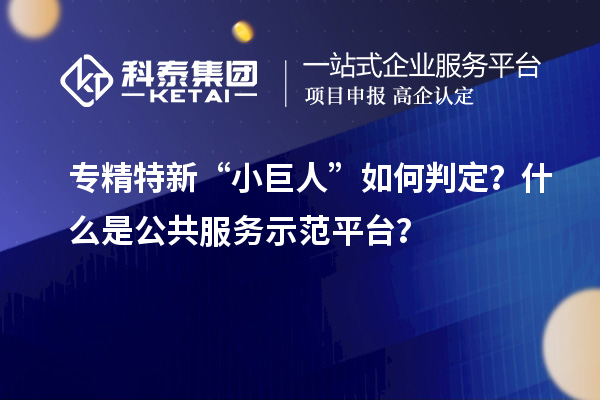專精特新“小巨人”如何判定？什么是公共服務(wù)示范平臺？