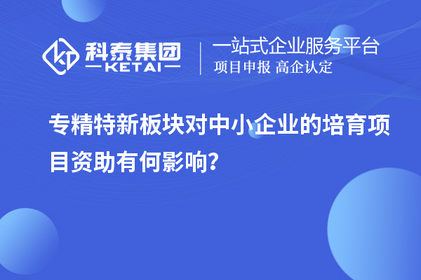 專精特新板塊對(duì)中小企業(yè)的培育項(xiàng)目資助有何影響？
