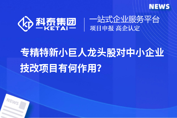 專精特新小巨人龍頭股對(duì)中小企業(yè)技改項(xiàng)目有何作用？