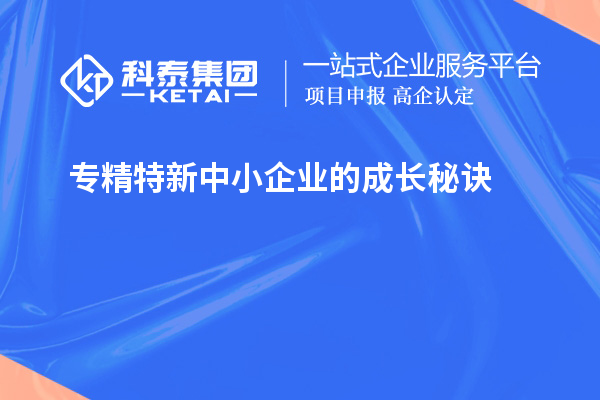 專精特新中小企業(yè)的成長(zhǎng)秘訣