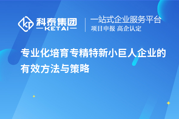 專(zhuān)業(yè)化培育專(zhuān)精特新小巨人企業(yè)的有效方法與策略		 		