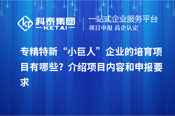 專精特新“小巨人”企業(yè)的培育項目有哪些？介紹項目內(nèi)容和申報要求