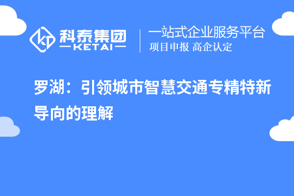 羅湖：引領(lǐng)城市智慧交通專精特新導向的理解